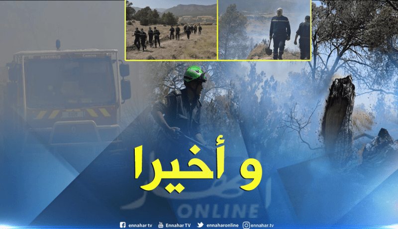 الحرائق تأتي على 300 هكتار من الأشجار بباتنة