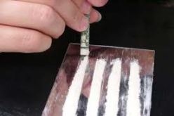 محاكمة ابن وزير سابق بتهمة حيازة ''الهيروين'' للبيع والتماس ضده 15 سنة سجنا