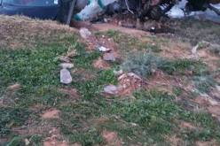 بالصور 3 قتلى في حادث مرور بباتنة