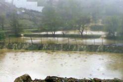 تساقط أمطار غزيرة مرفوقة بزخات برد  يومي الثلاثاء و الأربعاء