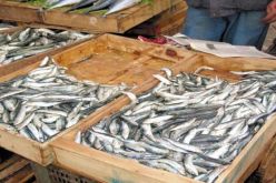 بالفيديو قاطعوا البيض والسمك قاطعوا الماء وحتى الهواء