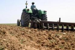 إدراج مساحة بأزيد من 500 هكتار لإنتاج البذور الممتازة في خنشلة