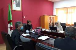 وزيرة الثقافة تشرف على افتتاح الملتقى العربي الافتراضي الأول حول المتاحف