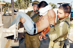 باحثة أميركية تثبت فضيحة متاجرة إسرائيليين بأعضاء بشرية لشهداء فلسطينيين
