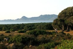 التنمية المستديمة: الجزائر تامل في ان تتوج ندوة ريو المقبلة ببرنامج عمل ملموس