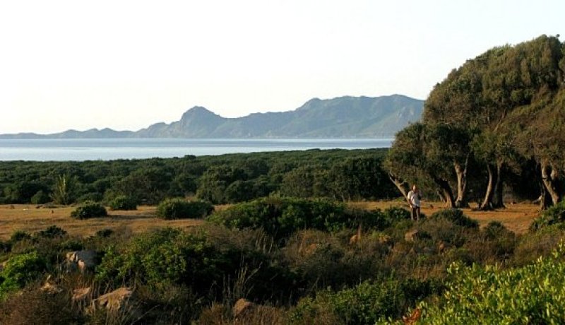 التنمية المستديمة: الجزائر تامل في ان تتوج ندوة ريو المقبلة ببرنامج عمل ملموس