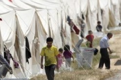 ناشط فلسطيني يتهم النظام السوري بالاستيلاء على مساعدات للفلسطينيين