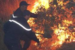 الحرائق تلتهم ما يقارب 30 هكتارا من الغابات بقسنطينة