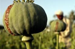 الجزائر تنظم الملتقى الأورومتوسطي للعلاج بالأدوية التي تحتوي على الأفيون