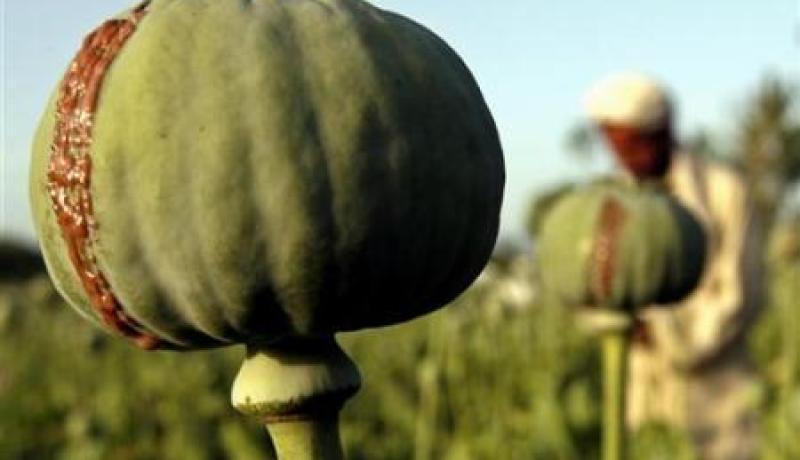 الجزائر تنظم الملتقى الأورومتوسطي للعلاج بالأدوية التي تحتوي على الأفيون