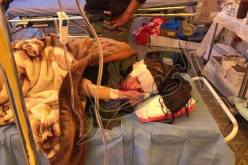 بيان جديد حول الحالة الصحية للصحفية الجزائرية سميرة مواقي