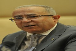 التأمين بـ الدوفيز على النواب