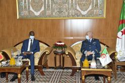 اللواء محمد الصالح بن بيشة يستقبل وزير الدفاع المالي