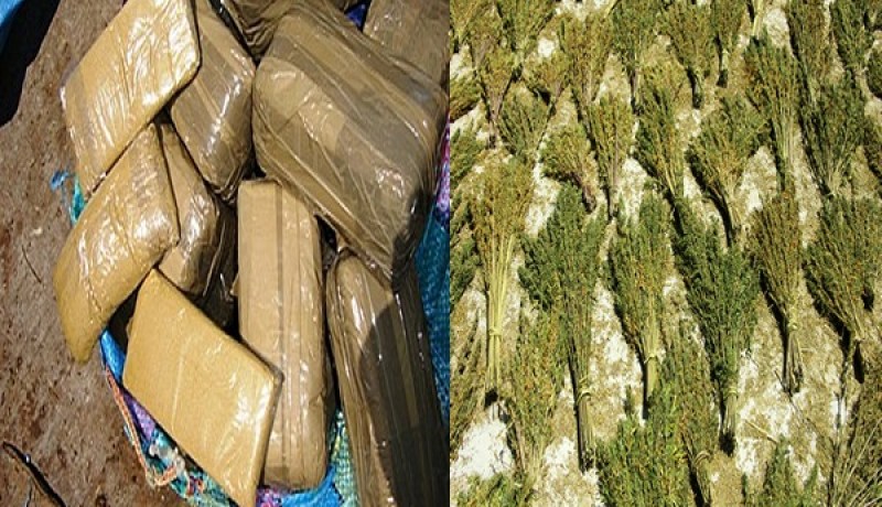 جمارك تلمسان تحجز 3 كغ من القنب الهندي الفاخر مهربة الى بجاية