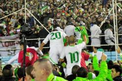 تأهّل الخضر إلى المونديال أفضل المحطات الكروية العربية عام 2013