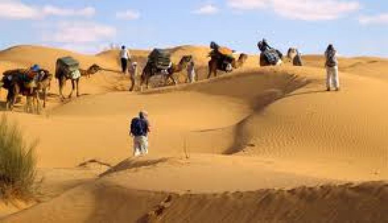 الديوان الوطني الجزائري للسياحة يسطر برنامجا ثري تحضيرا لموسم السياحة الصحراوية