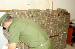 الدرك يتمكن من حجز 16 قنطار كيف في مغنية