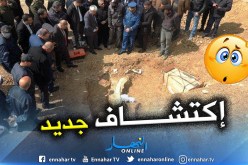 بالصور.. العثورعلى هياكل عظمية للحيوانات تعود لفترة ما قبل التاريخ بسطيف