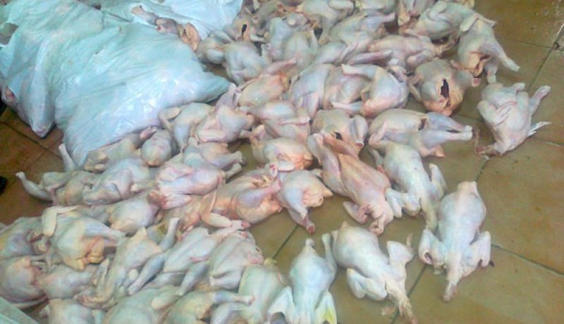 حجز  170 كلغ من اللحوم البيضاء غير صالحة للاستهلاك بمعسكر