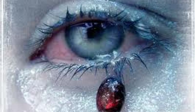 العاطفة لا تحمي‮ ‬الفرد إنما العقل‮ ‬يحميه