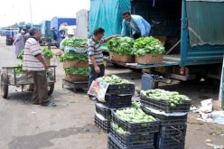 مارس 2016 آخر أجل للتعامل بـالشكارة في أسواق الجملة