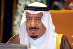 1090 طائر حبار هدية ملك السعودية لمحمية بشار