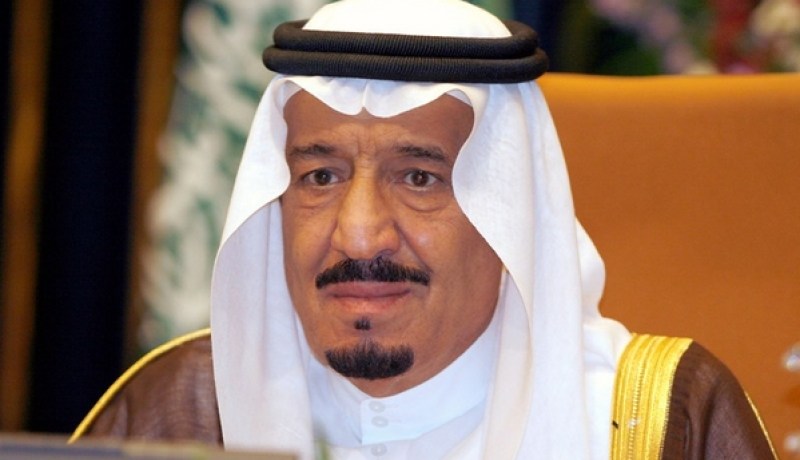 1090 طائر حبار هدية ملك السعودية لمحمية بشار
