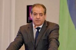دبزة ودماغ في وزارة ولد علي