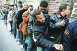 الصندوق الجهوي للتأمين عن البطالة لتيزي وزو يكون 210 حامل مشروع