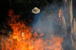 غابة الأمازون تصارع النيران !