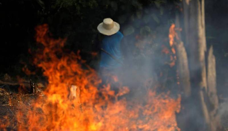 غابة الأمازون تصارع النيران !