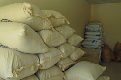 استلام حوالي 1.200 طن من السكر والشعير لفائدة اللاجئين الصحراويين في ميناء وهران