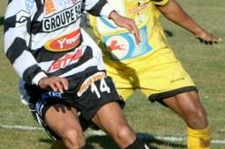 النسر يزيح الكواسر من طريقه، في لحظة غفلة