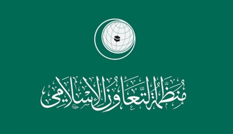 اسطنبول تستضيف القمة الـ 13 لمنظمة التعاون الاسلامي