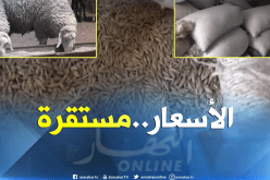 بالفيديو..إنخفاض في أسعار أعلاف الماشية بتيارت