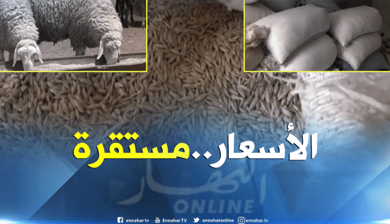 بالفيديو..إنخفاض في أسعار أعلاف الماشية بتيارت