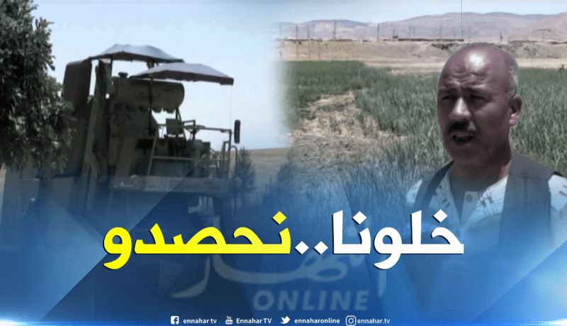 تيسمسيلت: فلاحون يمنعون من جني محاصيل أرض وجهتهم السلطات نحو إستغلالها