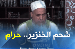 الشيخ شمس الدين..لايجوز الإنتفاع  بشحم الخنزير للتداوي