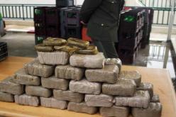 حجز أكثر من 45 كلغ من الكيف المعالج في النعامة