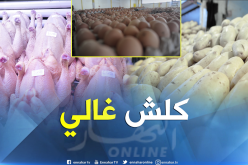 البطاطا بـ 80 دينار… والدجاج لمن إستطاع إليه سبيلا