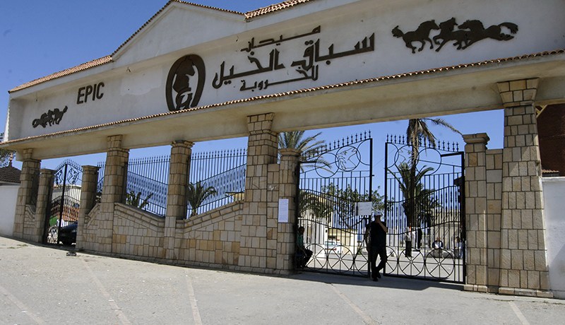 حل شركة سباق الخيل ومنع القمار فيها