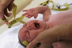 إصابة 136شخصا بفيروس زيكا في فيتنام