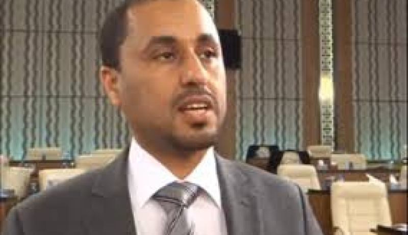 الوفد البرلماني الليبي ينهي زيارته للجزائر