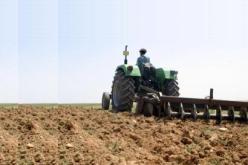 بلعبدي يؤكد أن موسم الحرث والبذر كان ناجحا بعد توفير كافة الوسائل للفلاحين