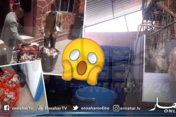 حجز كمية معتبرة من اللحوم البيضاء الفاسدة بالمحمدية في معسكر