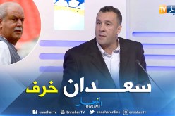 بالفيديو.. الإعلامي معزوزي:”سعدان نهار شفتو يشطح عرفت بلي رفع عنه القلم”