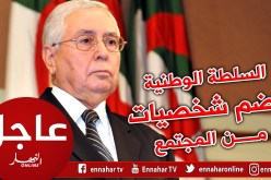 بن صالح يستحدث سلطة وطنية تترأسها شخصية وطنية لها كامل الصلاحيات في الرئاسيات المقبلة