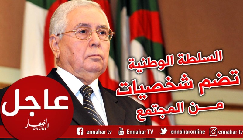 بن صالح يستحدث سلطة وطنية تترأسها شخصية وطنية لها كامل الصلاحيات في الرئاسيات المقبلة