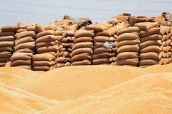 غليزان.. حجز 590 قنطار من القمح اللين المدعم