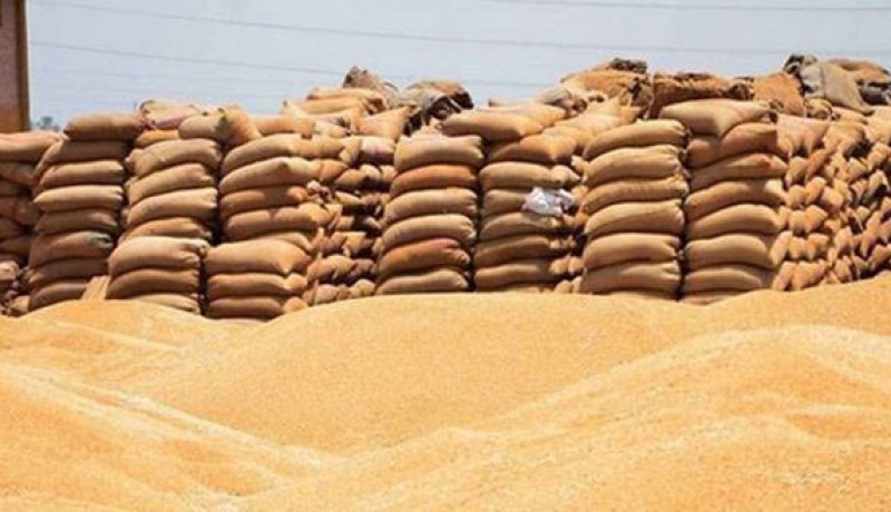 غليزان.. حجز 590 قنطار من القمح اللين المدعم